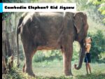 Cambodgia Elephant Kid Jigsaw