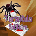 Solitaire Tarantula